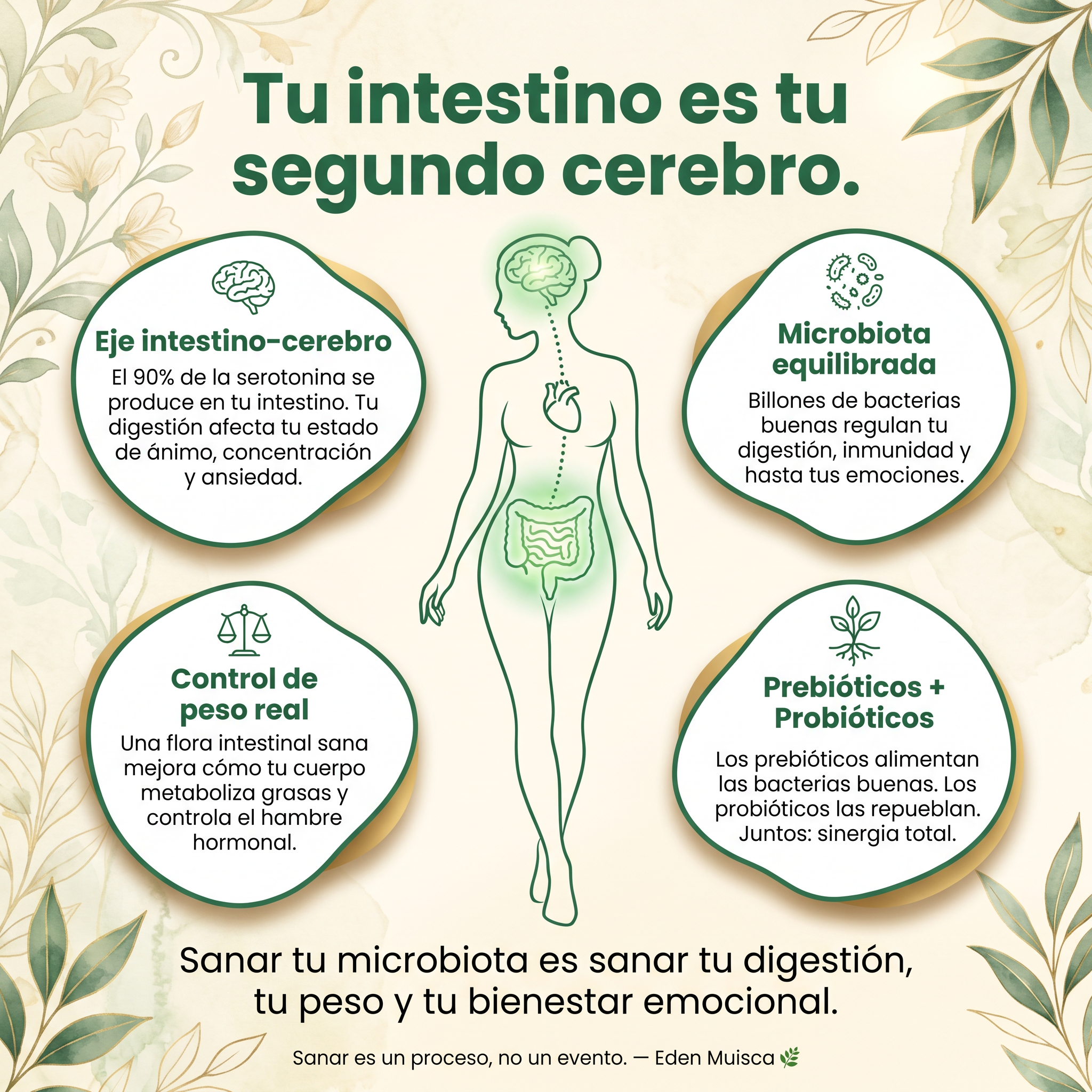 PROBIOFIB – Fibra Reductora con Prebióticos y Probióticos